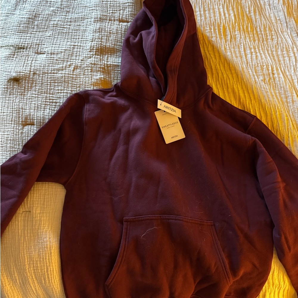 Maroon Aritizia Hoodie